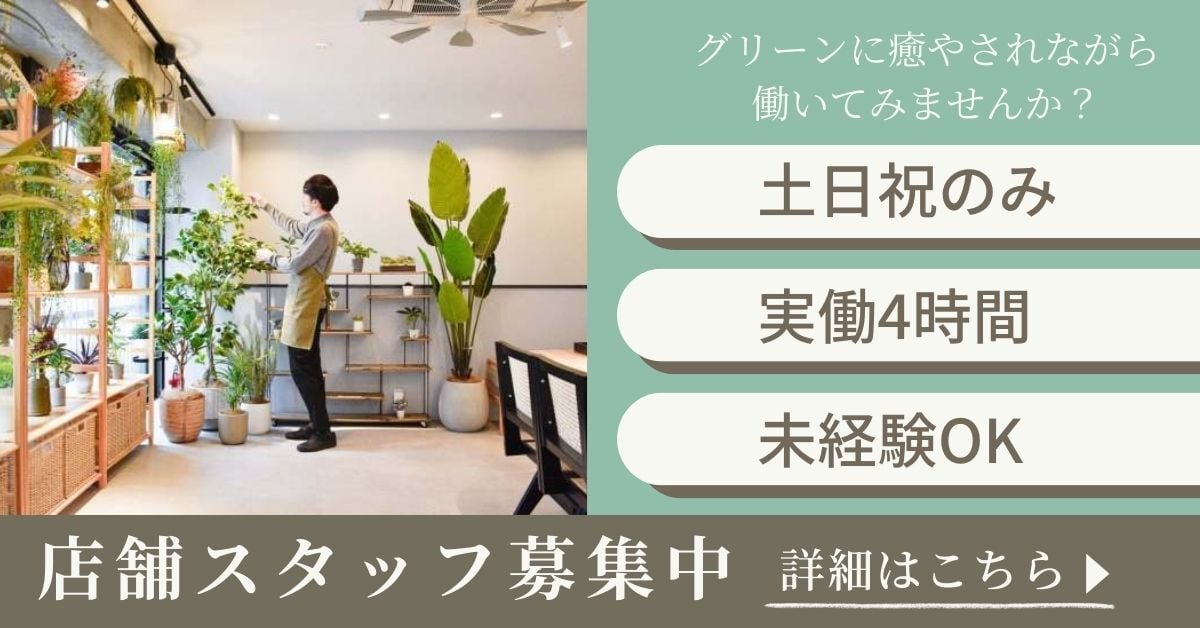 スタッフ募集中 (1)