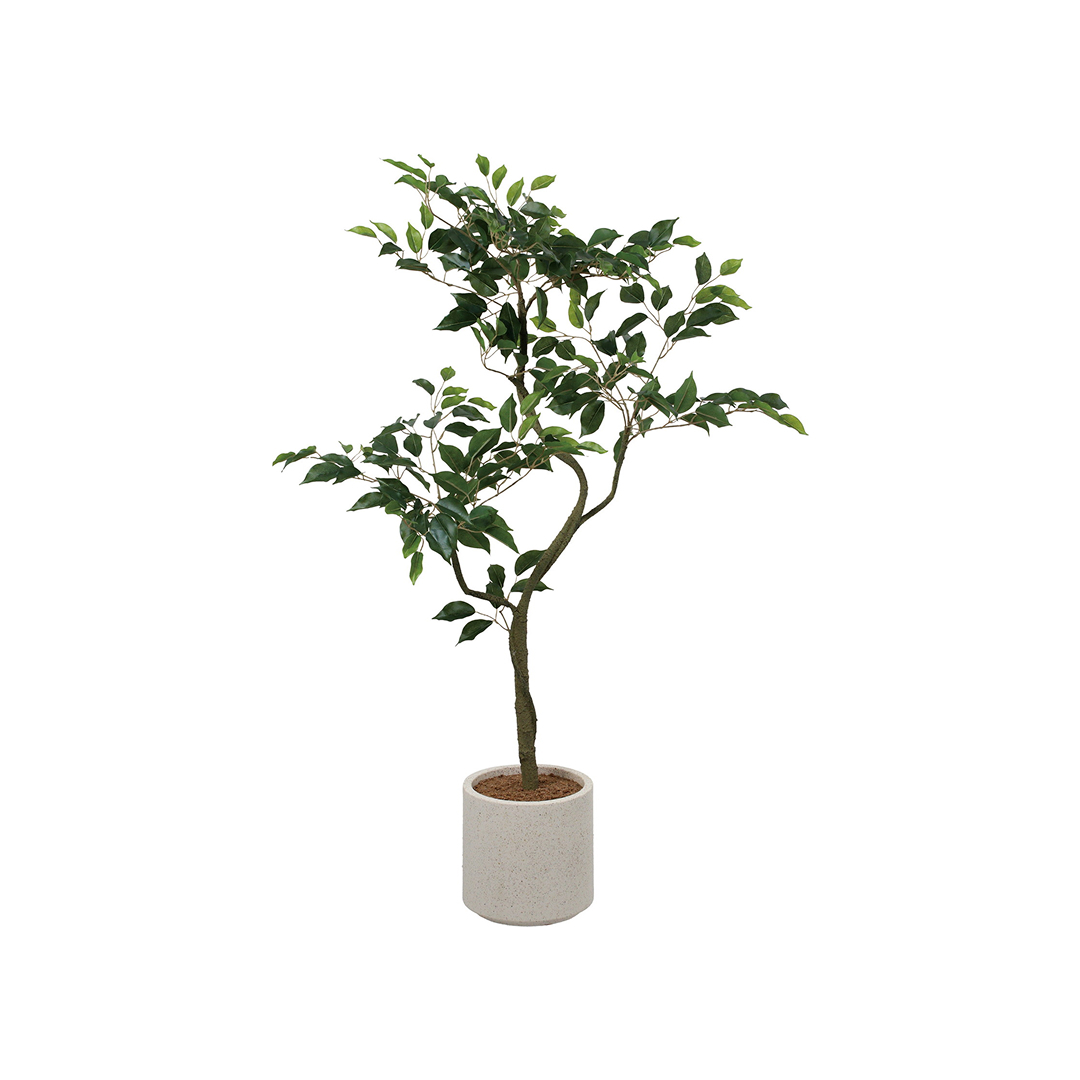 人工観葉植物【決まりました】　 インテリアグリーン（フェイクグリーン ・人工観葉植物） | 製品情報