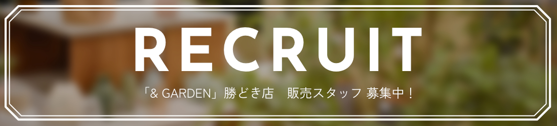 勝どき店求人バナー_2 勝どき店求人バナー_2
